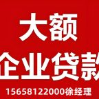 🚀【嘉兴企业贷款全攻略】征信不良也能批！30-3000万税贷/信用贷/担保贷，全省通办🔥