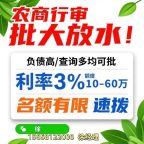 2025嘉兴信贷地震！农商行”单人信用贷”横空出世，负债高、流水少照样批！
