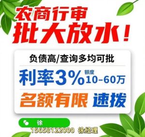 2026嘉兴信贷地震！农商行”单人信用贷”横空出世，负债高、流水少照样批！