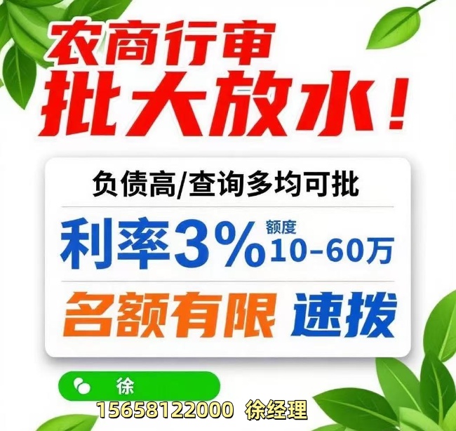 2025嘉兴信贷地震！农商行”单人信用贷”横空出世，负债高、流水少照样批！
